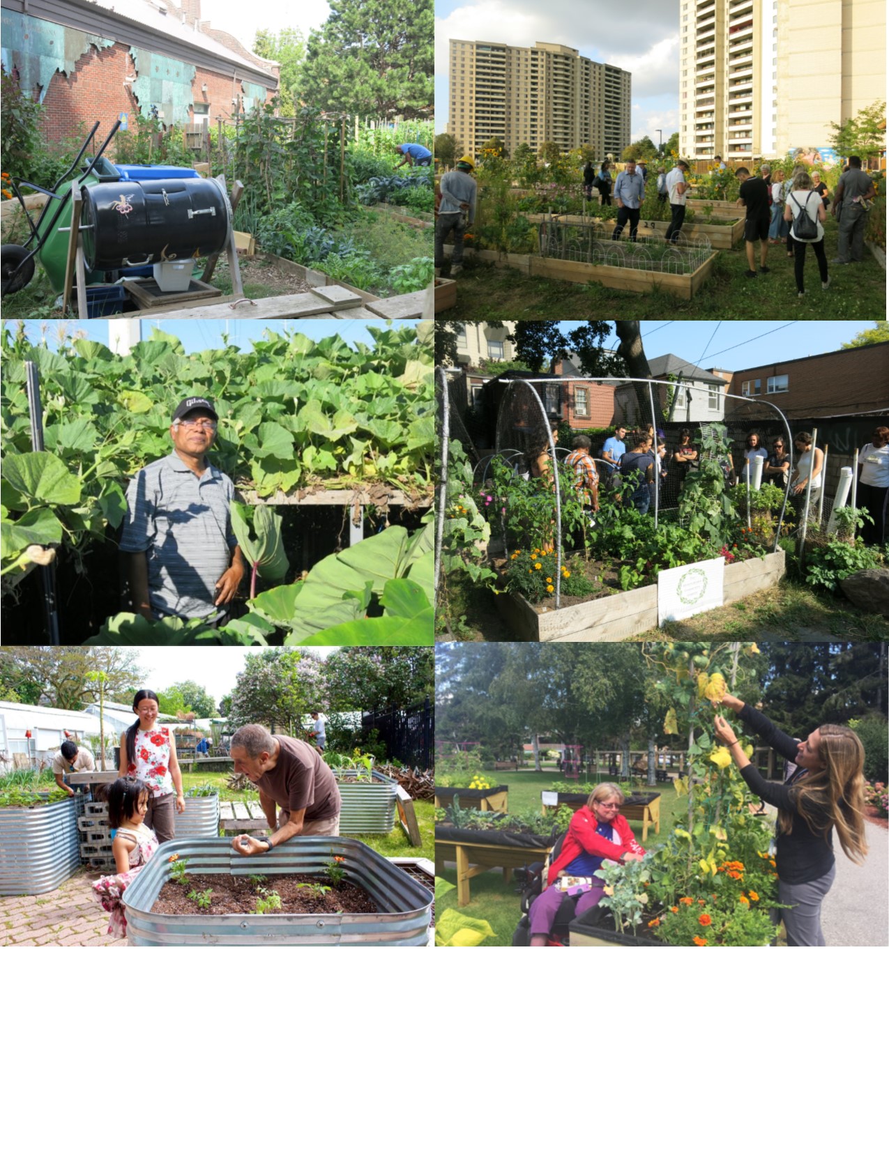 clockwise from top left: HOPE CG, San Romanoway CG, Sussex Ave CG, Toronto Rehab GROW, Edible Allan Gardens, Kamal Mustafa at Jonesville Allotments